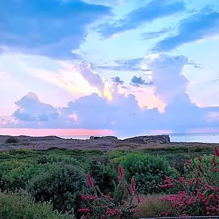Phaedrus Living Seaview Luxury Venus *